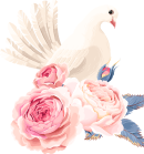Dove